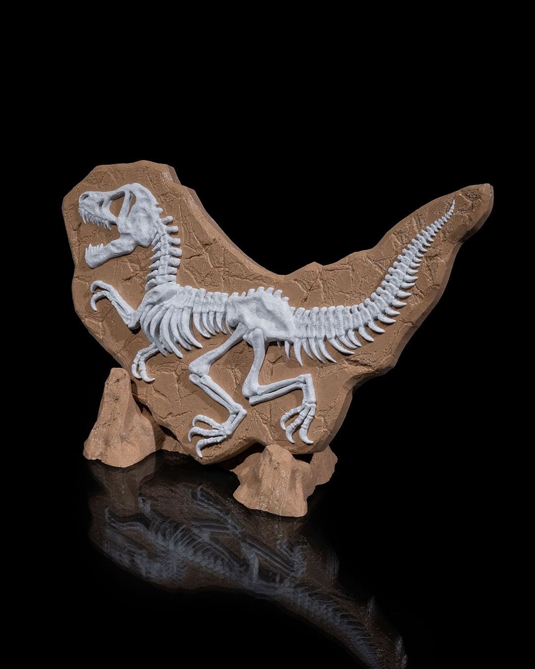 Dinosaur Skeleton Model with Stand-3D Printed