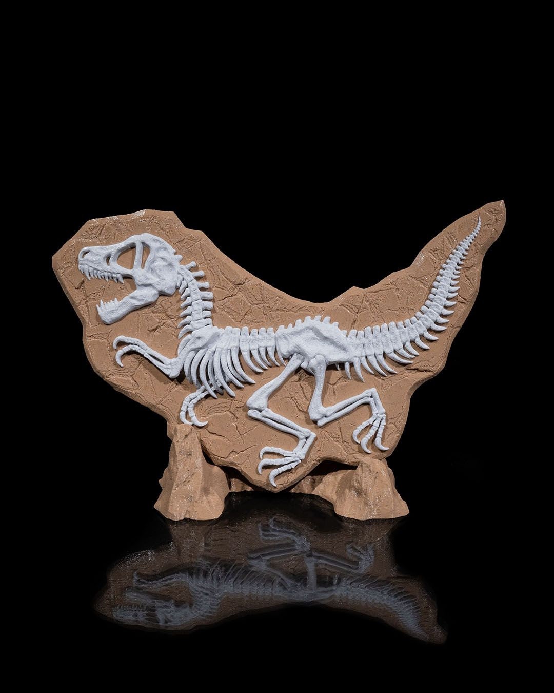 Dinosaur Skeleton Model with Stand-3D Printed