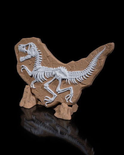 Dinosaur Skeleton Model with Stand-3D Printed